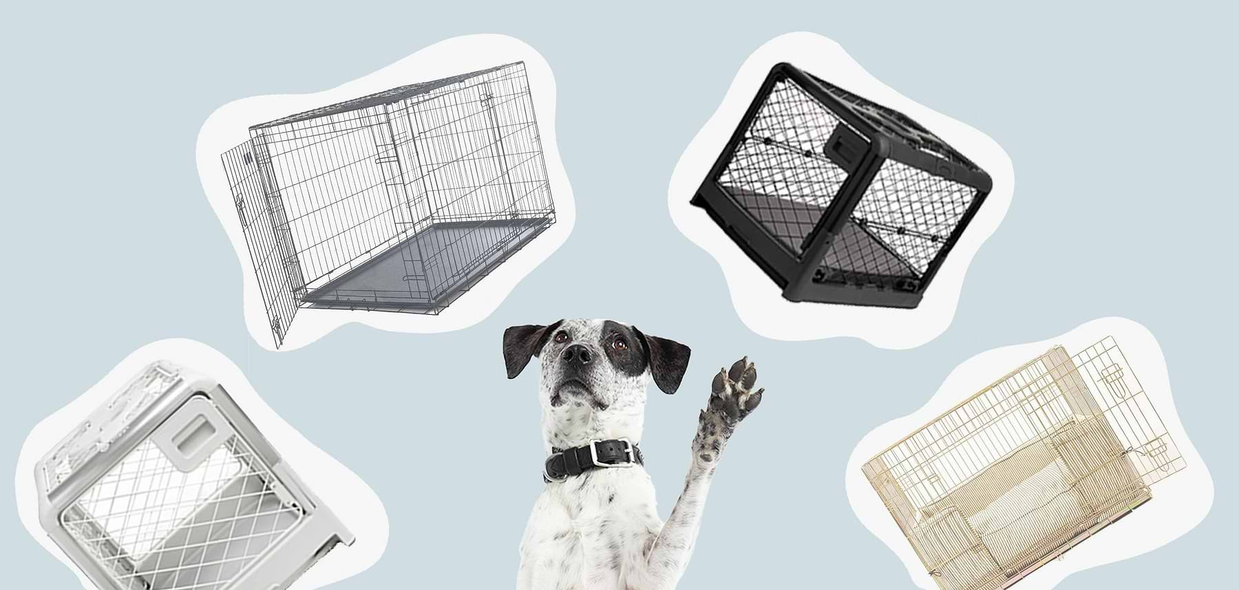 Pet stock crate best sale