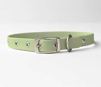  An extra small size Diggs Sage(light green) collar. 