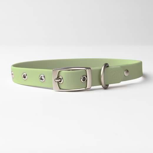 Collar small 2025