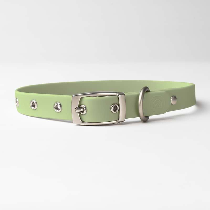 An extra small size Diggs Sage(light green) collar.