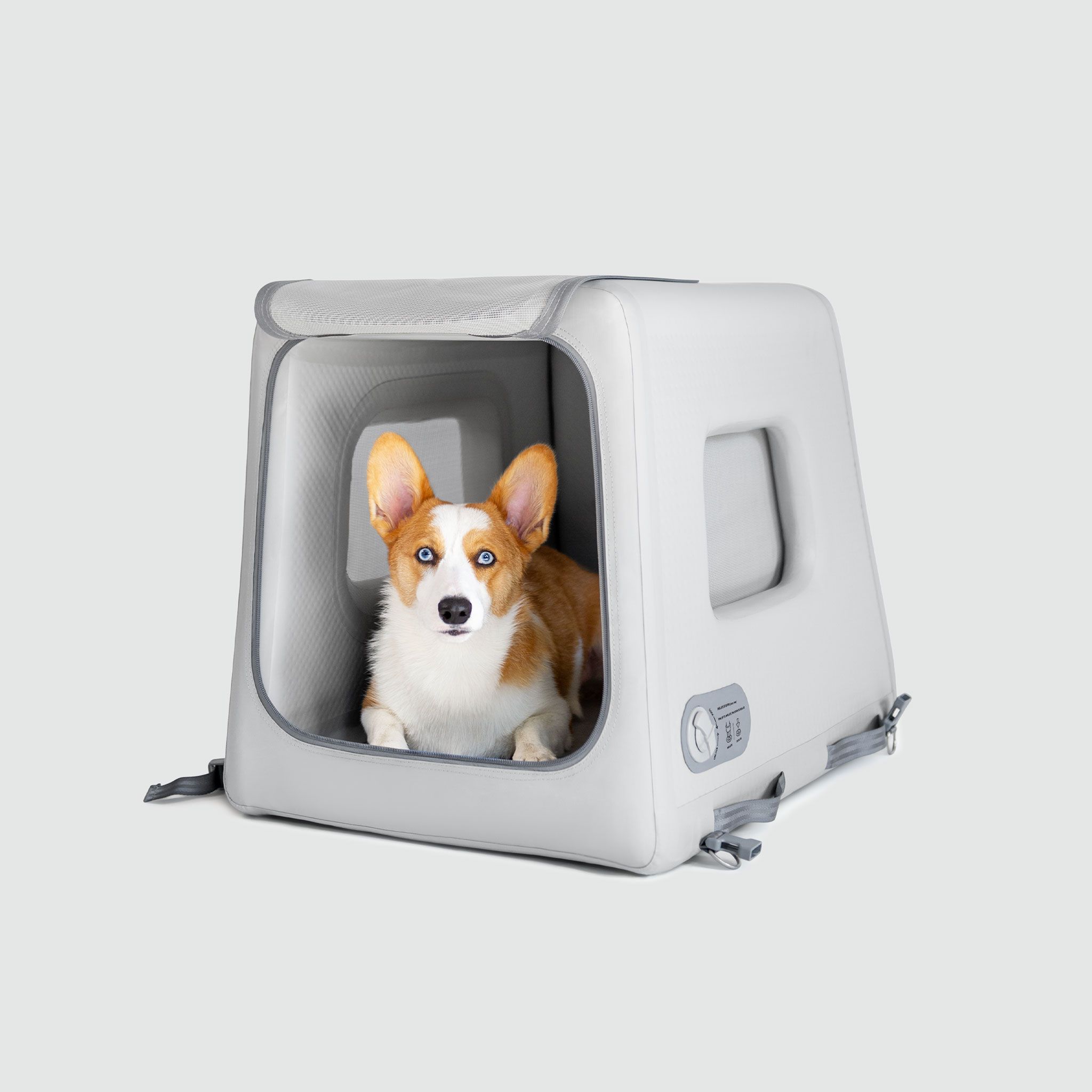 Travel Dog Crate: The Ultimate Guide for Adventurous Pet Owners