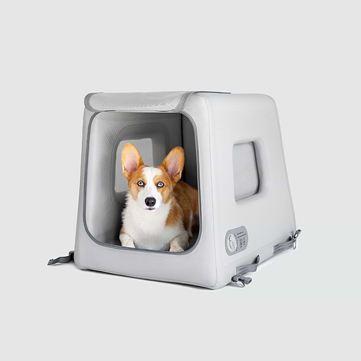 Large dog new arrivals crate for car
