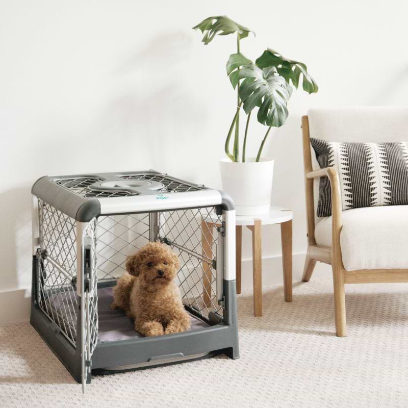 Diggs - 35% off on Pet Crates!