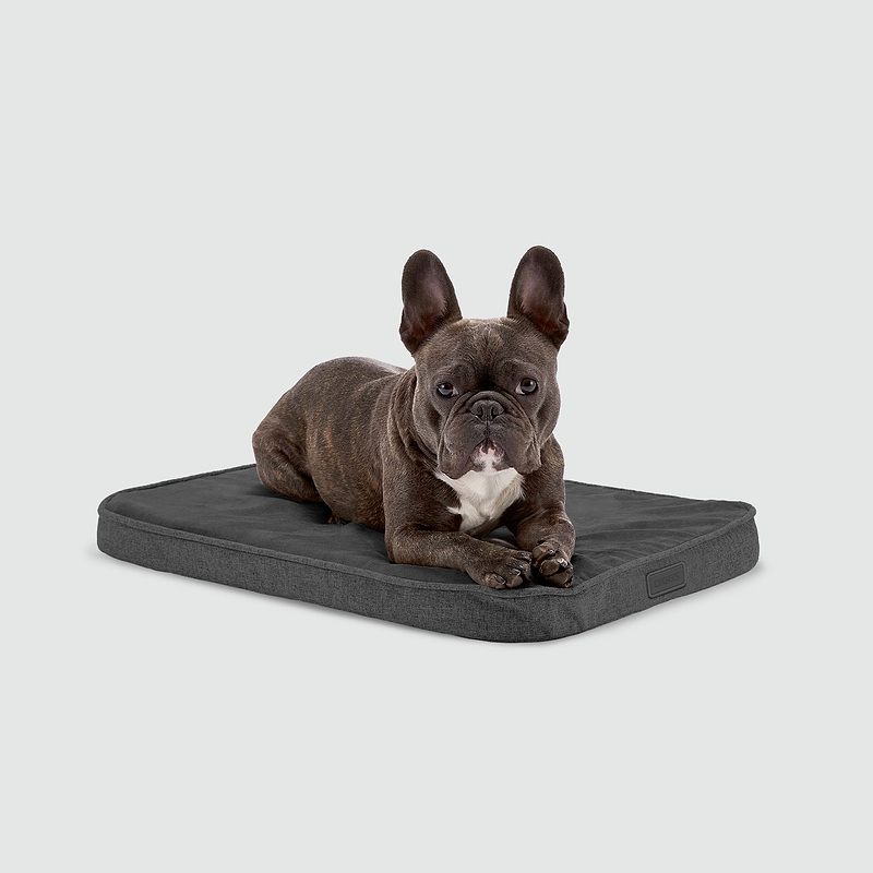 Memory foam dog pad 2025