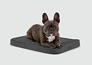 The hot sale dogs bed