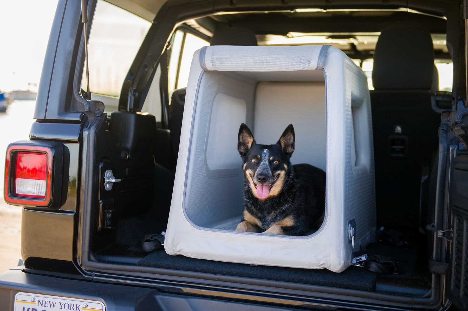  A dog inside an Enventur is located at the back of the SUV. 