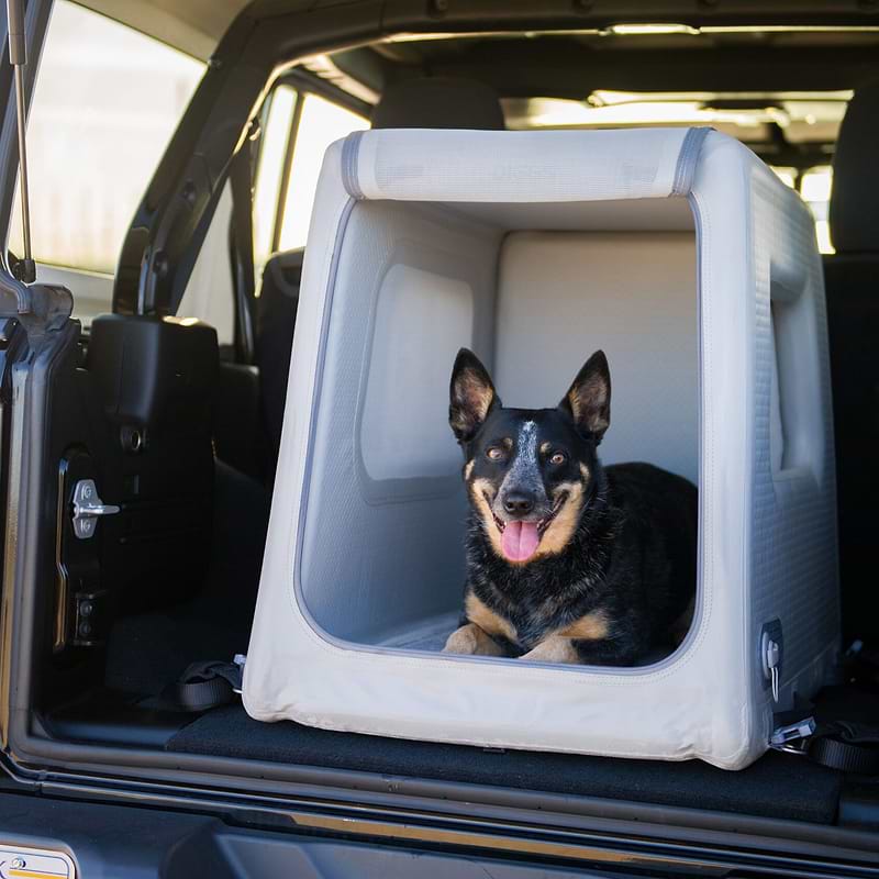 A dog inside an Enventur is located at the back of the SUV.