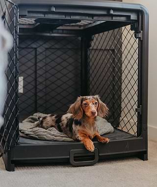 A dog laying in a dog crate on the floor