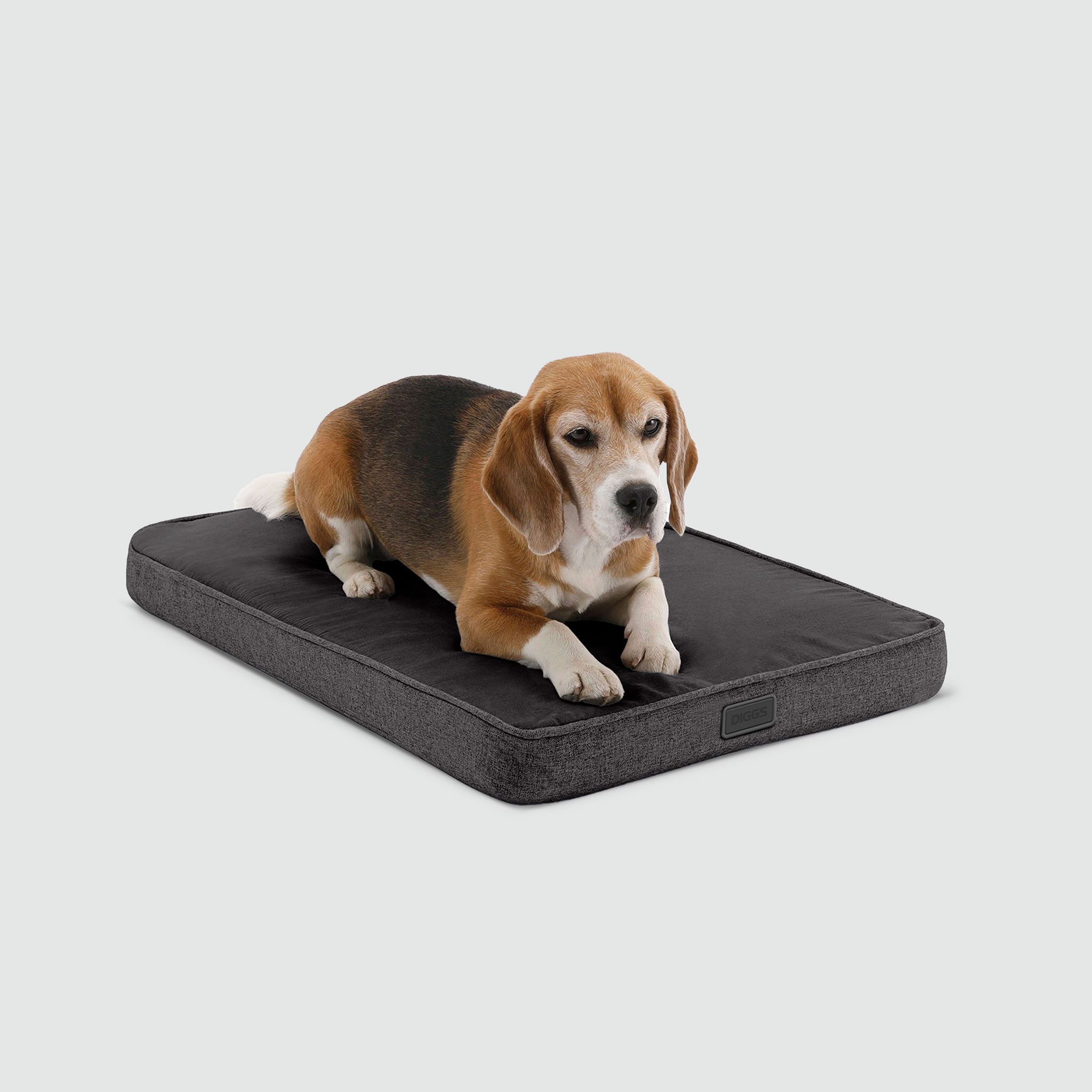A beagle dog laying on a dog bed