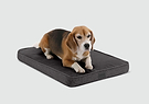 A beagle dog laying on a dog bed