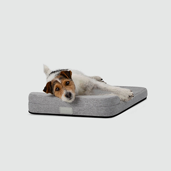 Bolstr 24 Left 2 A dog laying on top of a dog bed