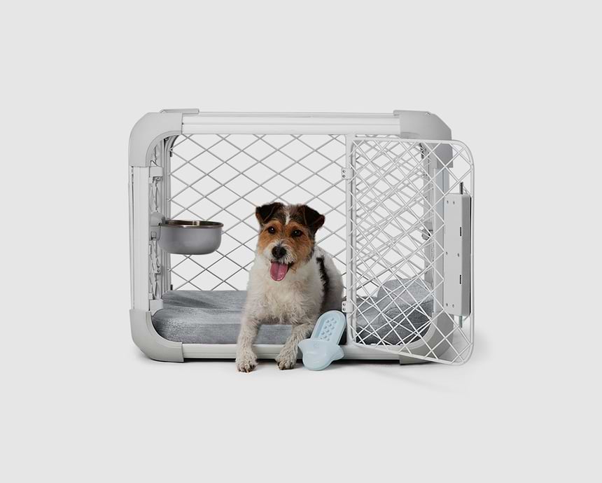 Image showcasing the collection : A small dog sitting in a dog crate 