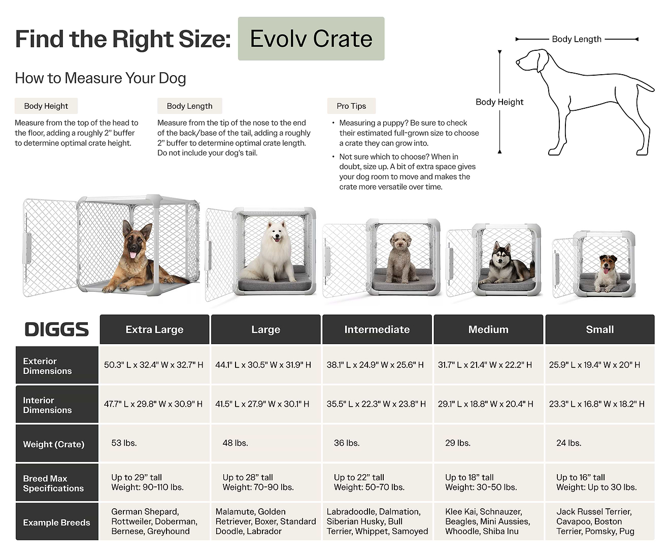 Evolv Crate Sizing 0625 Image illustrating relevant content from Diggs