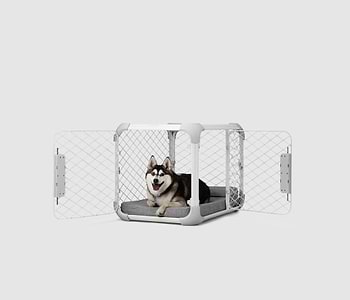  A husky dog sitting in a dog crate 