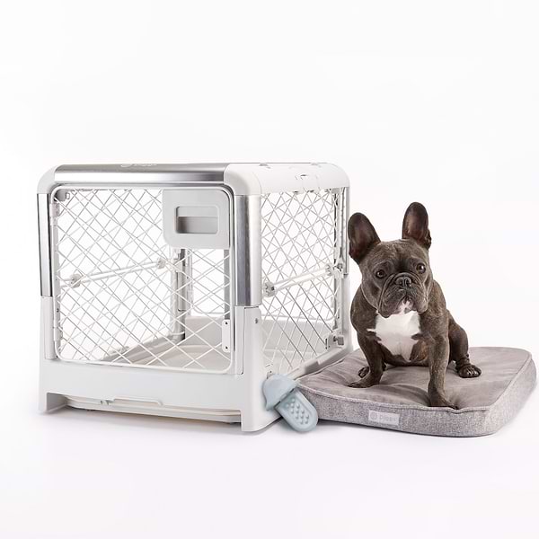  a small dog sitting on a Snooz next to a Revol crate and a Groov 