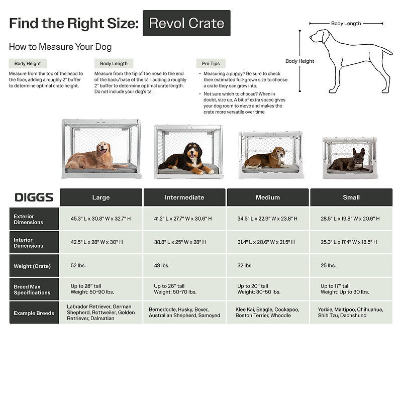 Amazon.com : Veehoo Original Outdoor Elevated Dog Bed