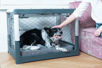 a woman petting a dog through the side door in its Revol crate