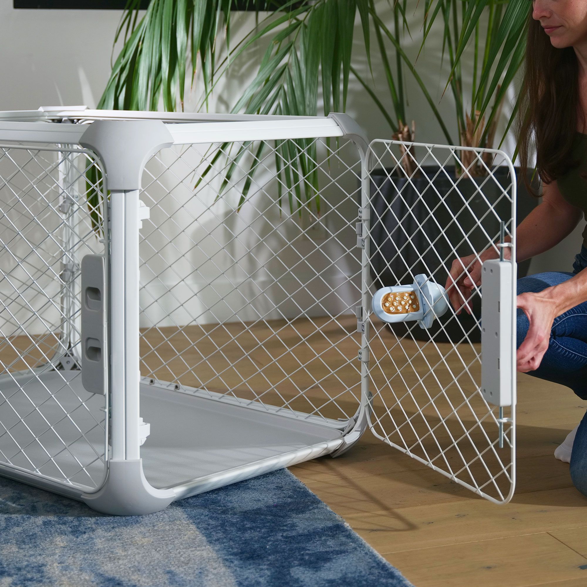 Evolv Dog Crate