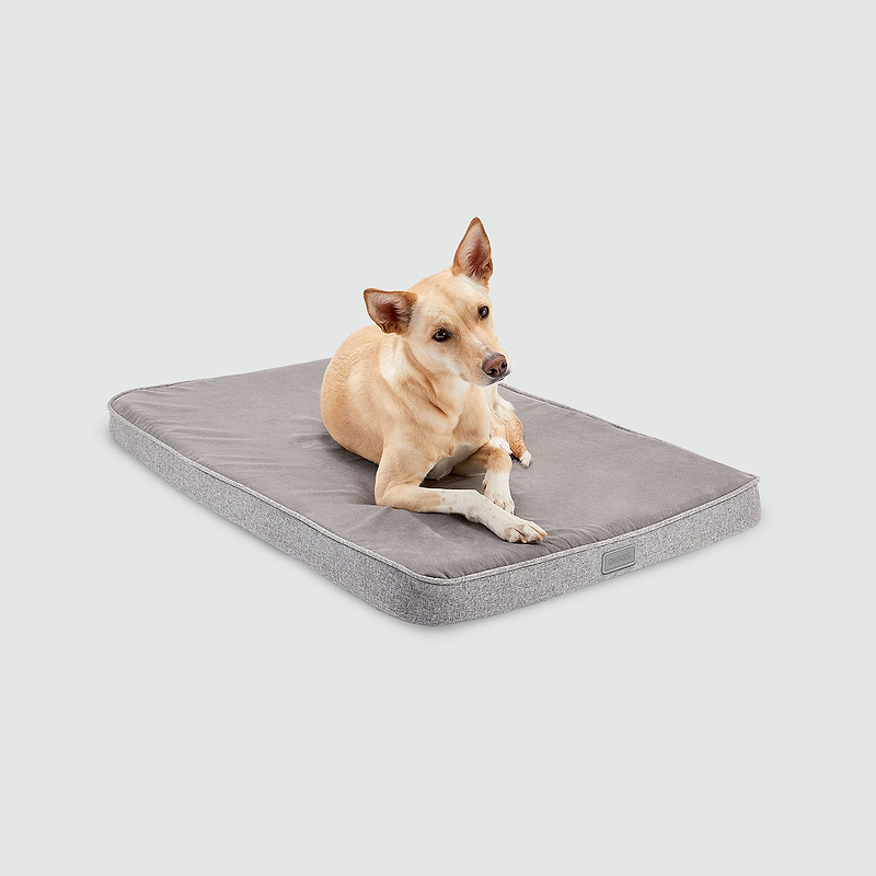 Snooz Revol Pad