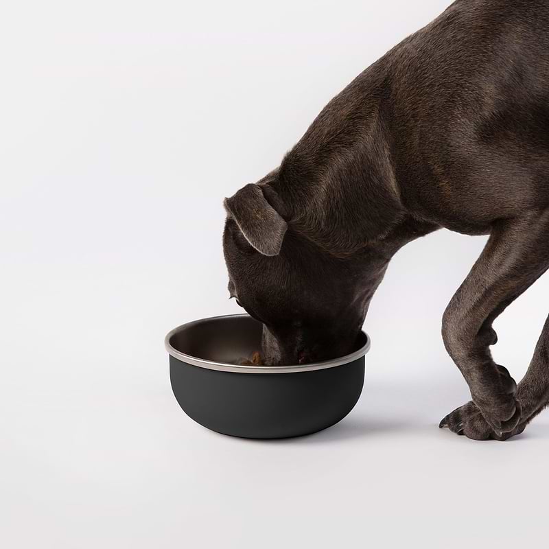 Doggy doggy アクリル画 Doggy doggy アクリル画