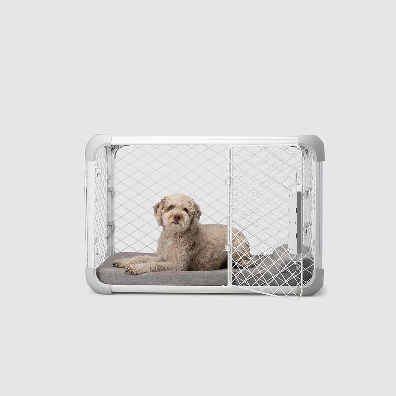 Evolv Dog Crate