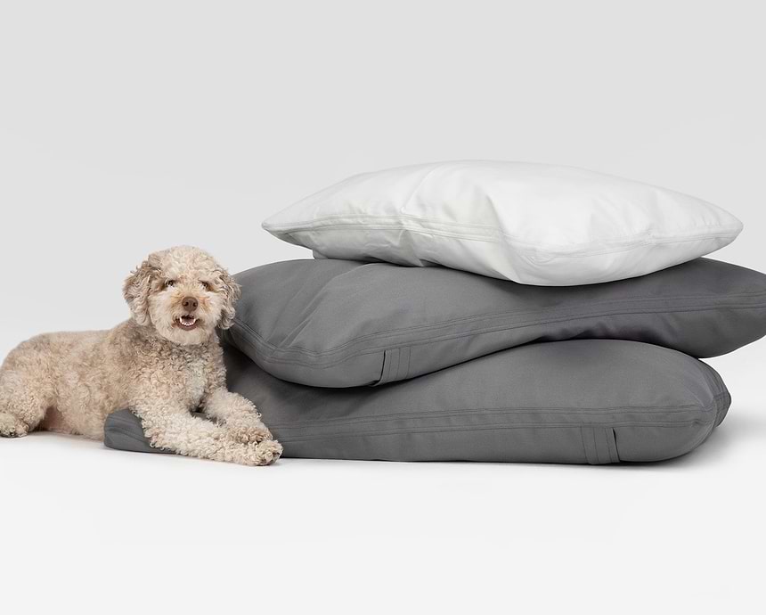 Image showcasing the collection Beds: A dog laying on a pile of Pillo Dog Beds 