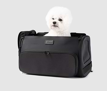  A small white dog sitting inside of a black Passenger pet carrier bag 