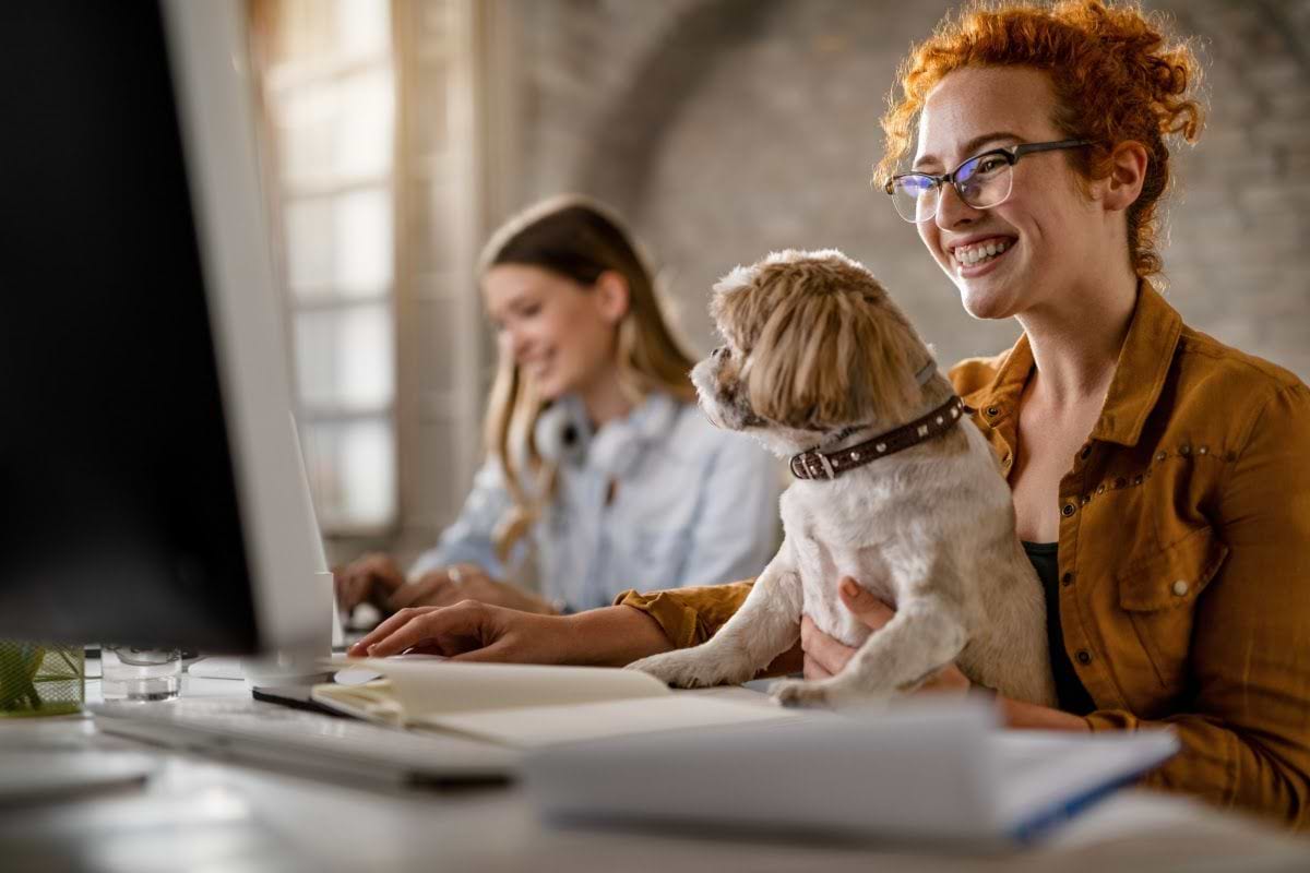  a woman sitting at a desk with a dog on her lap 