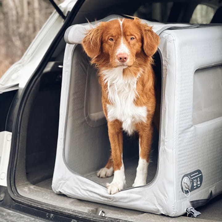 Enventur Travel Kennel
