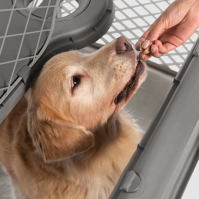 Revol Dog Crate