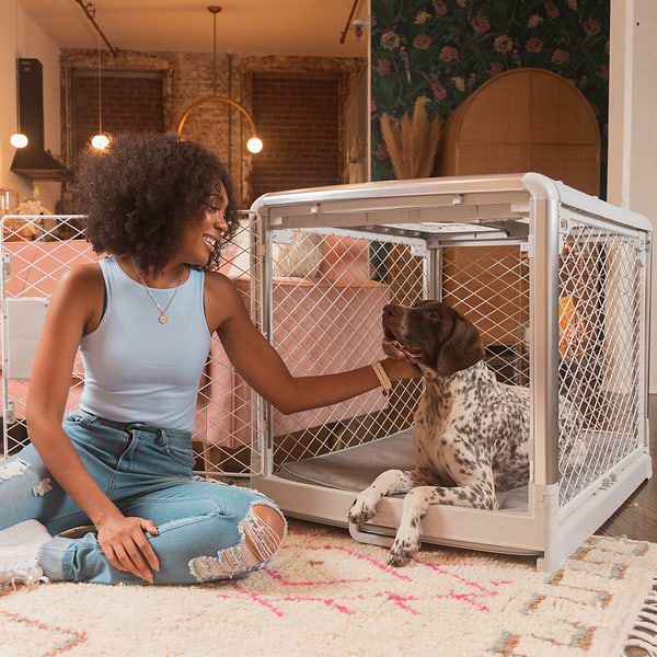 Diggs Revol CrateTraining a woman sitting on the floor petting a dog in an Ash Revol crate