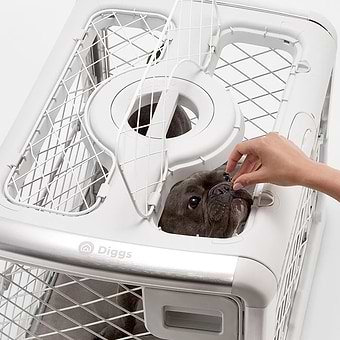 f155355a82a2d00af03af12b6c9eb66f3bba1f0a 2048x2048 A person feeding a dog something through the Revol ceiling hatch