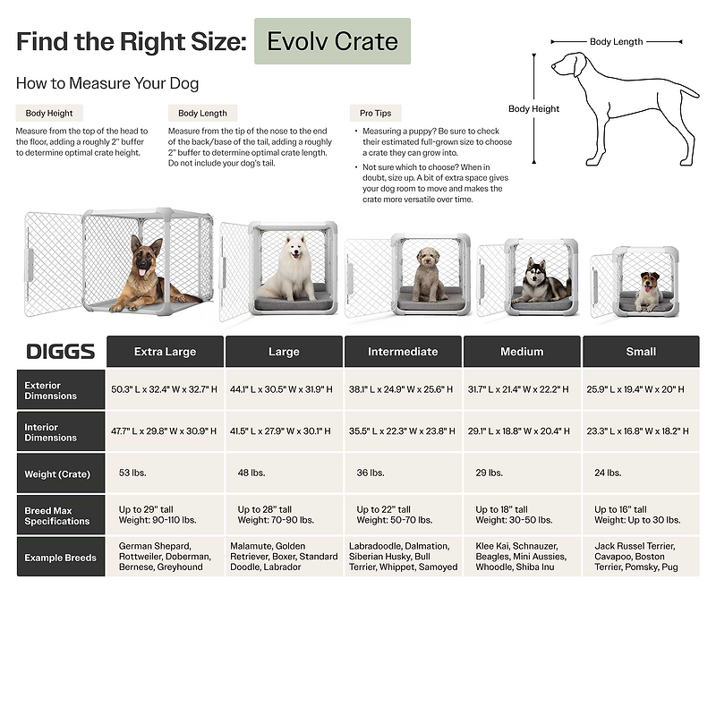 Evolv Dog Crate