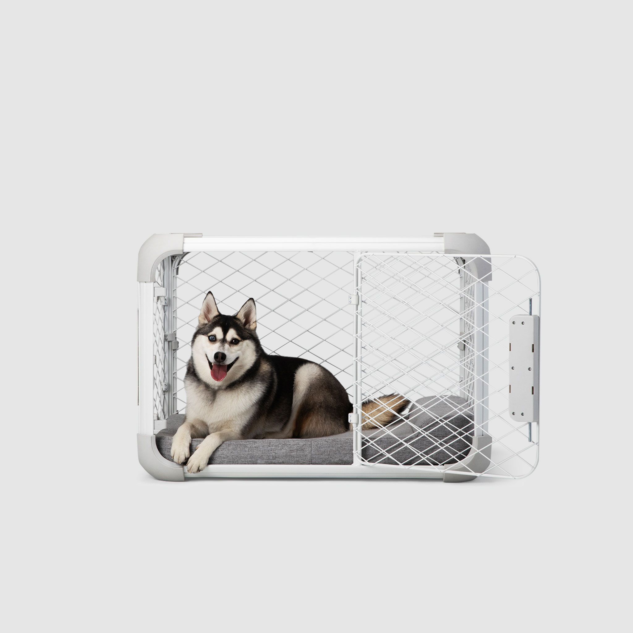 Evolv Dog Crate