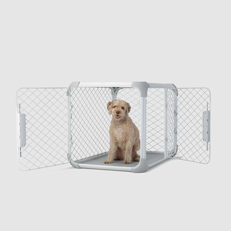 Evolv Dog Crate