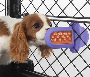  A dog licking a Lavender Groov Training Aid attached to a black dog crate 