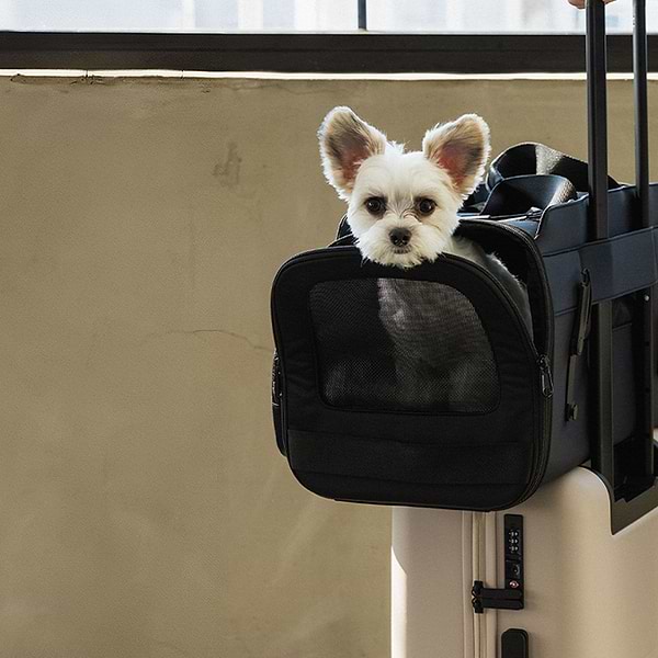 DIGGS Passenger Hero 1 Passenger Travel Carrier with dog inside, fastened to a suitcase and wheeled by a man