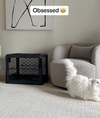  A black dog crate on top of a white rug 