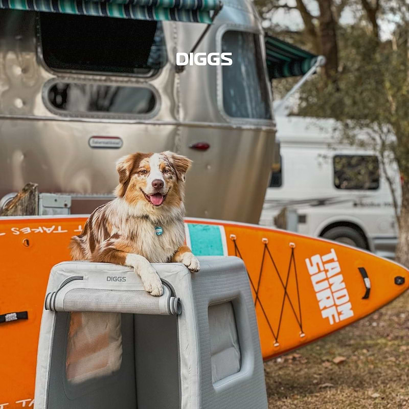 Enventur Travel Kennel