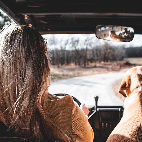 toni tan 8heYLZEgJp0 unsplash a woman driving a car with a dog in the back seat