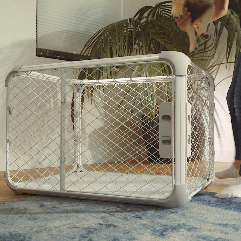 Best type online of dog crate