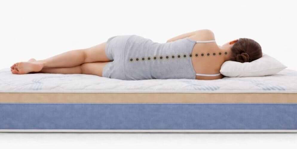 ויטלי_סנס_פרימיום2