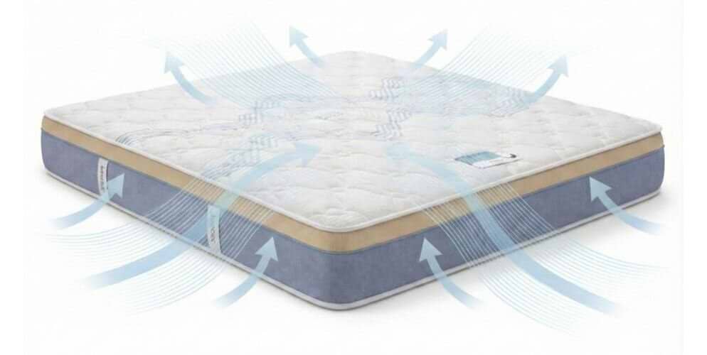 ויטלי_סנס_פרימיום3