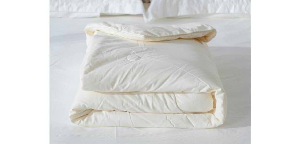 שמיכת_SOYBEAN1 שמיכת_SOYBEAN1