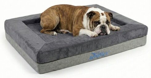 מזרן כלבים Aerodog