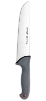 Colour Prof Series 250 mm Butcher Knife