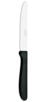 Table knives set - 6 pzs