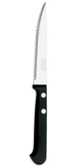 Pointed 110 mm steak knife with polypropylene handle