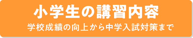 小学生 学習意欲向上から中学受験対策まで
