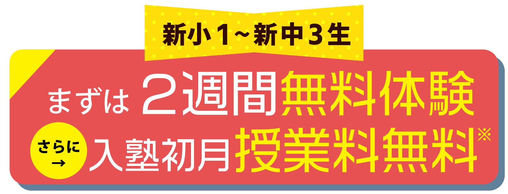 2週間無料体験 さらに入塾初月授業料無料※